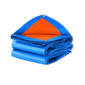 Blue & Orange Canvas