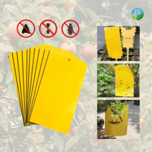 O00274-Insect-Sticker